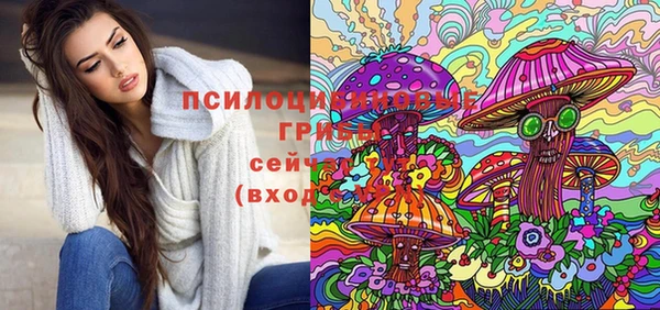 не бодяженный Дмитровск